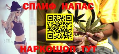 гашик Малгобек