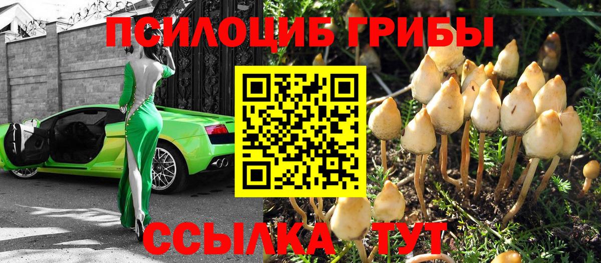 Заволжье  Галлюциногенные грибы ЛСД  где купить наркоту  Вход с VPN 