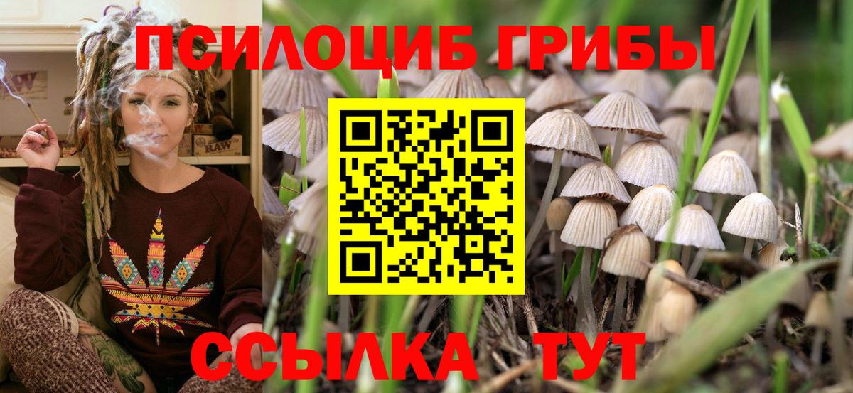 Псилоцибиновые грибы MAGIC MUSHROOMS Заволжье